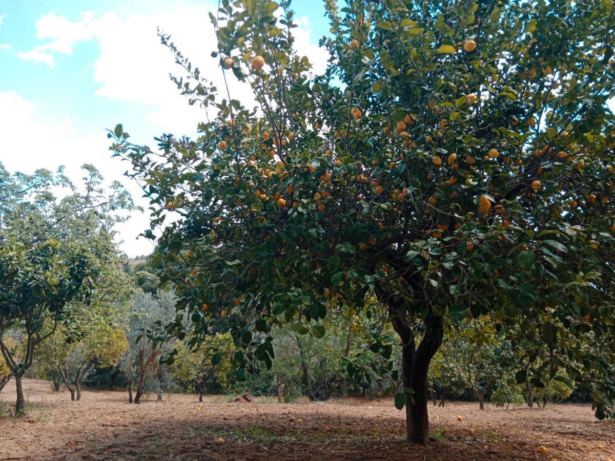 Odori Di Zagara Caltanissetta Exterior foto